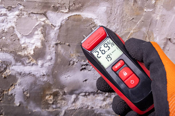 Best Fast Mold Removal  in Flemington, GA